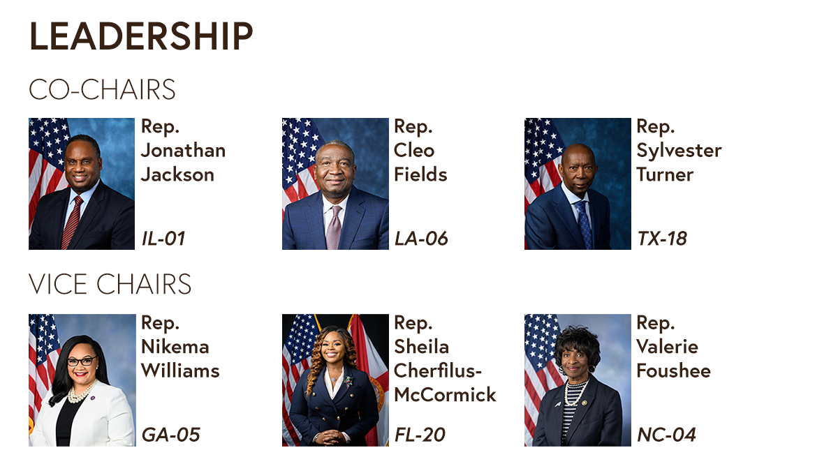 Co Chairs and vice chairs of the dei caucus