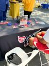 Health Fair